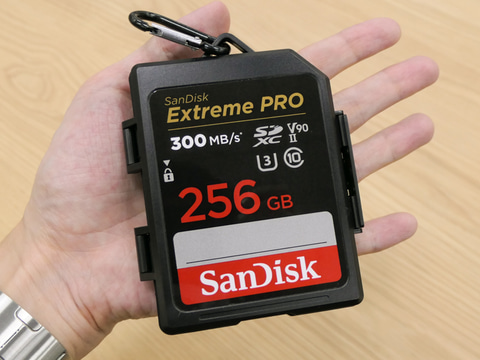 SanDisk Memory Card Case